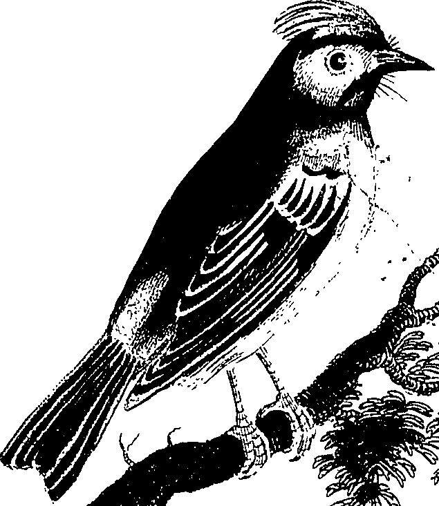 113/113500090200020_0.png