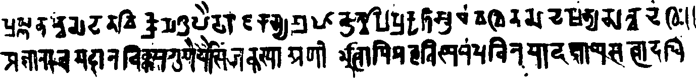 113/113520010103120_0.png