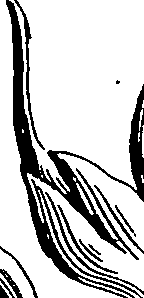 113/113520010103360_0.png