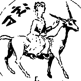 113/113520010203040_1.png