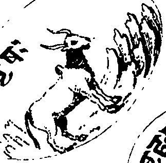 113/113520010203040_4.png