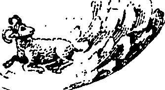 113/113520010203040_5.png
