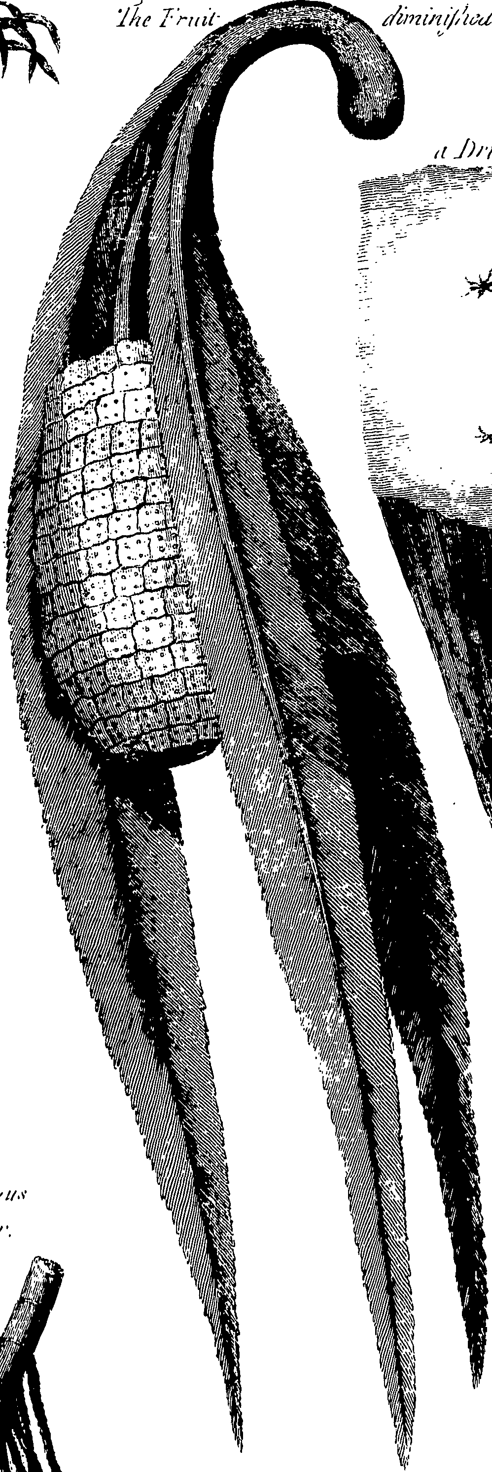 113/113530010301680_0.png