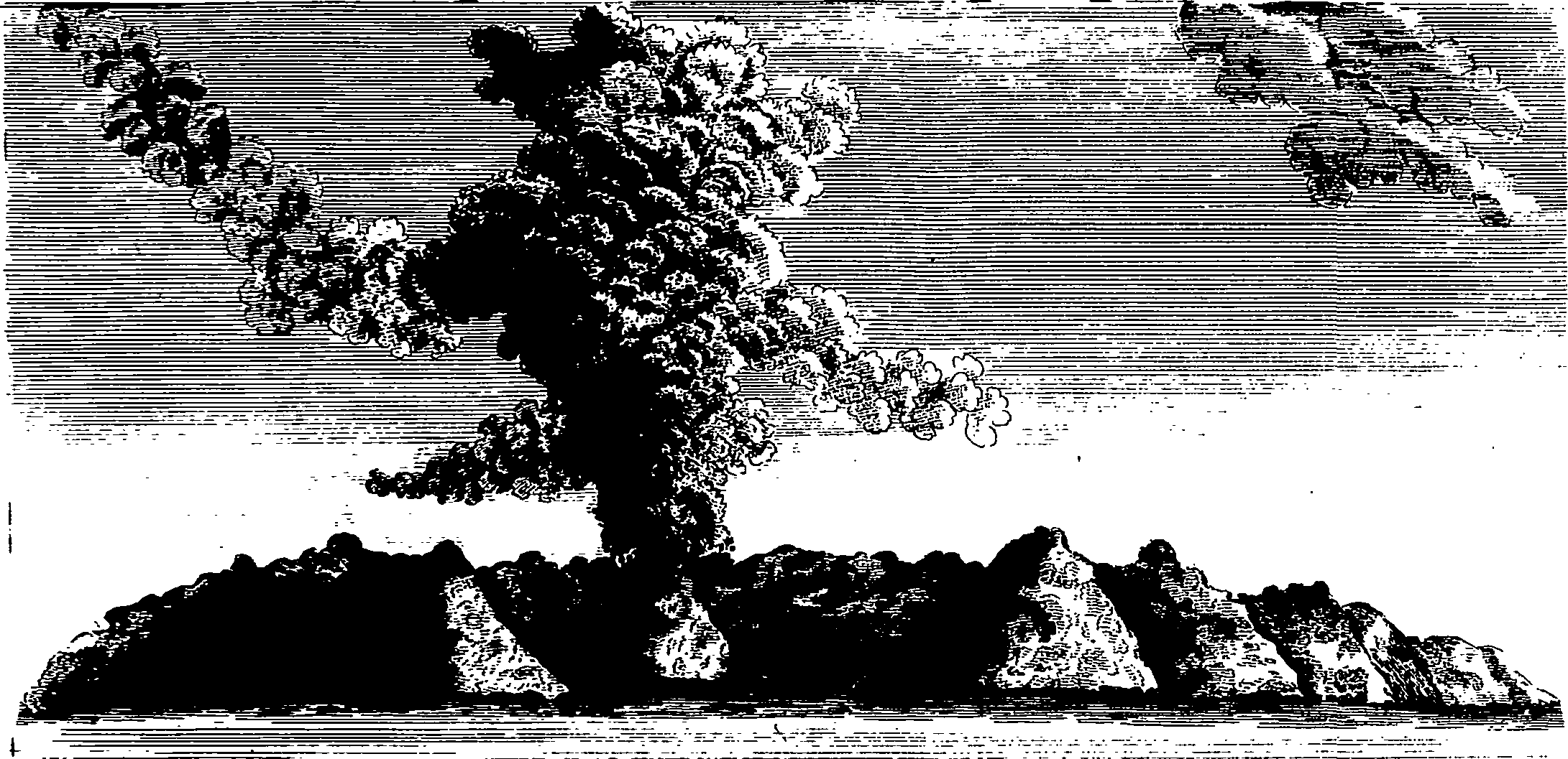 113/113530010403920_1.png