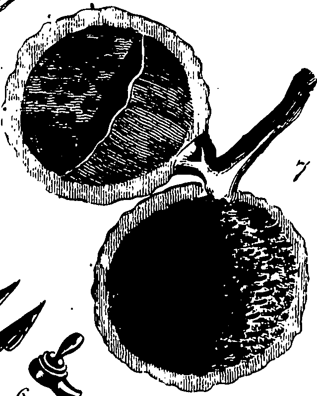 113/113540010501750_0.png