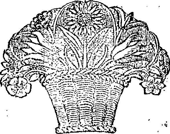 113/113660020101030_0.png