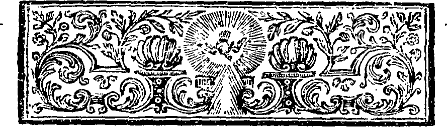 113/113660020101570_0.png