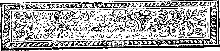 113/113660020101840_0.png