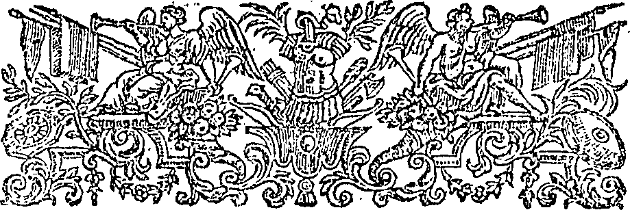 113/113670100101510_1.png