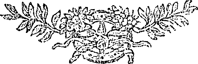 113/113670100200020_0.png