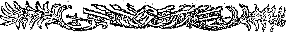 113/113670100201250_0.png