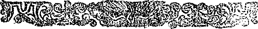 113/113670100201770_0.png