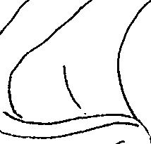113/113710110000720_0.png