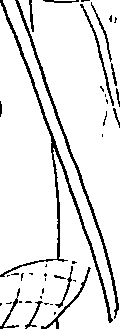 113/113710110000770_0.png