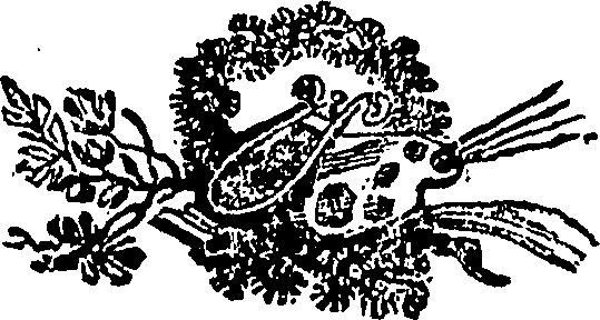 113/113720060000010_0.png