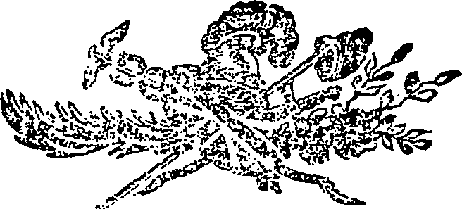 113/113720060000070_1.png