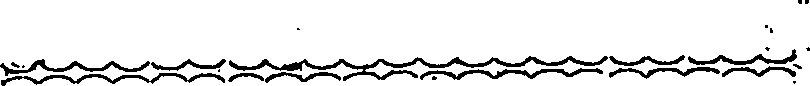 113/113720160000060_0.png