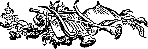 113/113720180000070_0.png