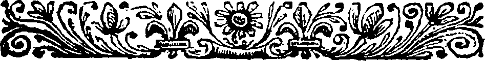 113/113810040000710_1.png