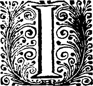 113/113810040000880_0.png