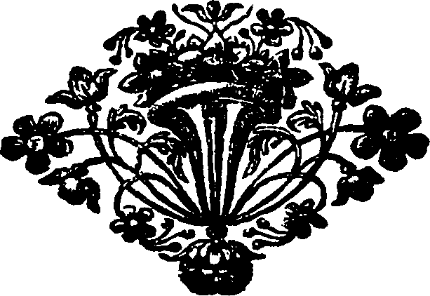 113/113810100004070_0.png