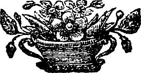 113/113820070000580_0.png