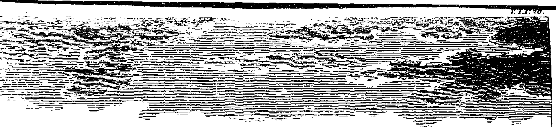 113/113940010000300_0.png