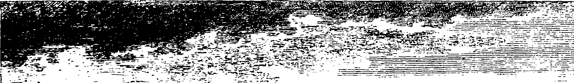 113/113940010001090_0.png