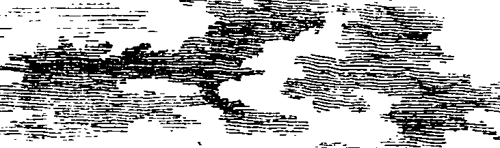 113/113940010001720_0.png