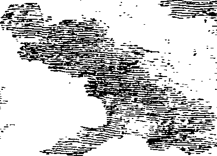 113/113940010001780_0.png