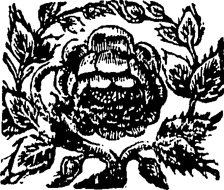 113/113950170000150_0.png