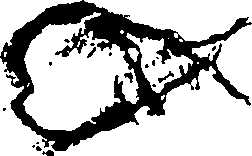 113/113960240000010_0.png