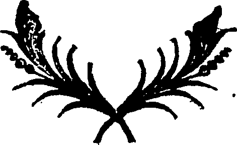 113/113970070000010_1.png