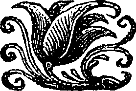 114/114010020203330_0.png