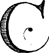 114/114050150000010_2.png