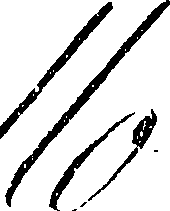 114/114070050000010_1.png
