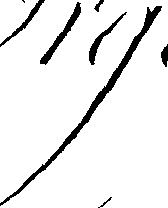 114/114070060000390_1.png