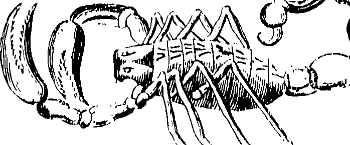 114/114080060000010_0.png