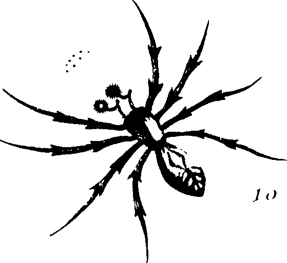 114/114080060000140_0.png