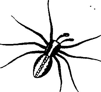 114/114080060000140_1.png