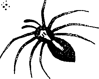 114/114080060000170_0.png