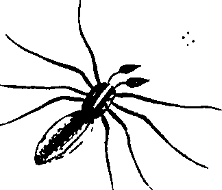 114/114080060000200_0.png