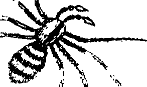 114/114080060000270_0.png