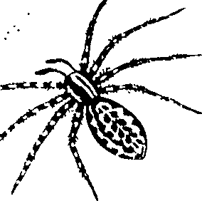 114/114080060000300_0.png