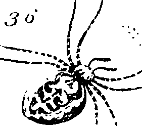 114/114080060000300_1.png