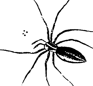 114/114080060000370_0.png