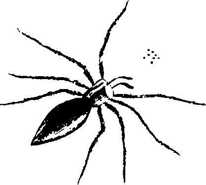 114/114080060000370_1.png