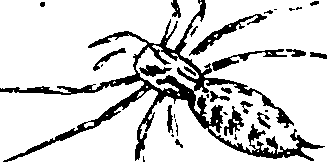 114/114080060000500_0.png