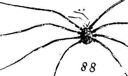 114/114080060000540_0.png