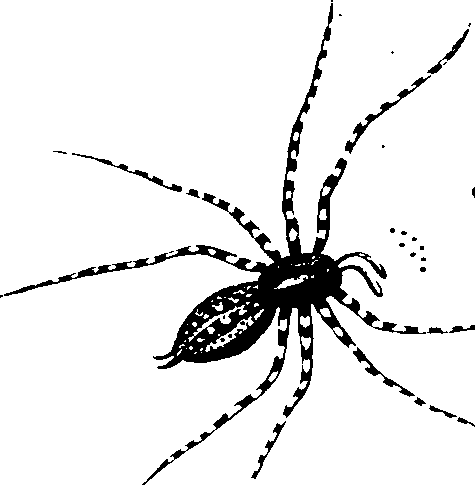 114/114080060000540_1.png